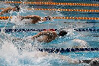 پایان هفتمین دوره جام شنای آزادی با معرفی برترین‌ها