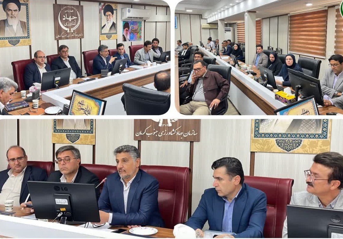 برگزاری چهارمین جلسه استانی کمیته اجرایی برنامه هفتم پیشرفت در جنوب کرمان برگزاری چهارمین جلسه استانی کمیته اجرایی برنامه هفتم پیشرفت در جنوب کرمان