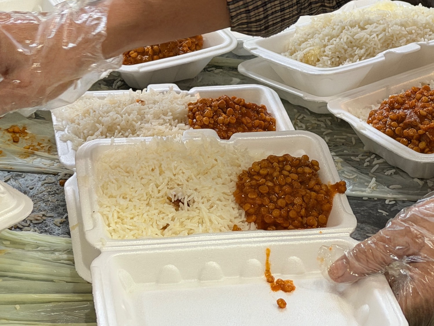 آغاز پویش «اطعام مهدوی، ایران همدل» در خراسان رضوی آغاز پویش «اطعام مهدوی، ایران همدل» در خراسان رضوی