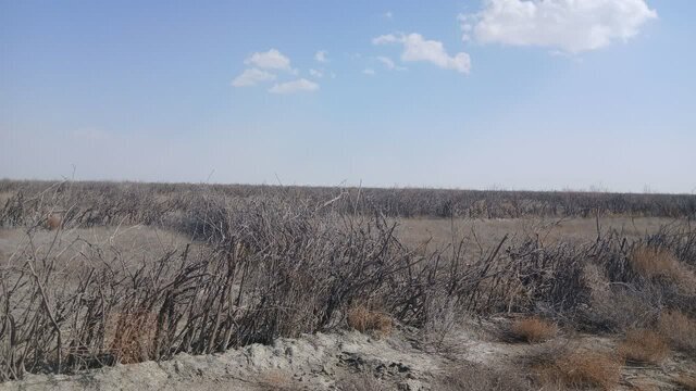 مدیرکل منابع طبیعی آذربایجان غربی: تاکنون ۴۹۰۷ بوته در سایت مرنگلو غرس شده است مدیرکل منابع طبیعی آذربایجان غربی: تاکنون ۴۹۰۷ بوته در سایت مرنگلو غرس شده است