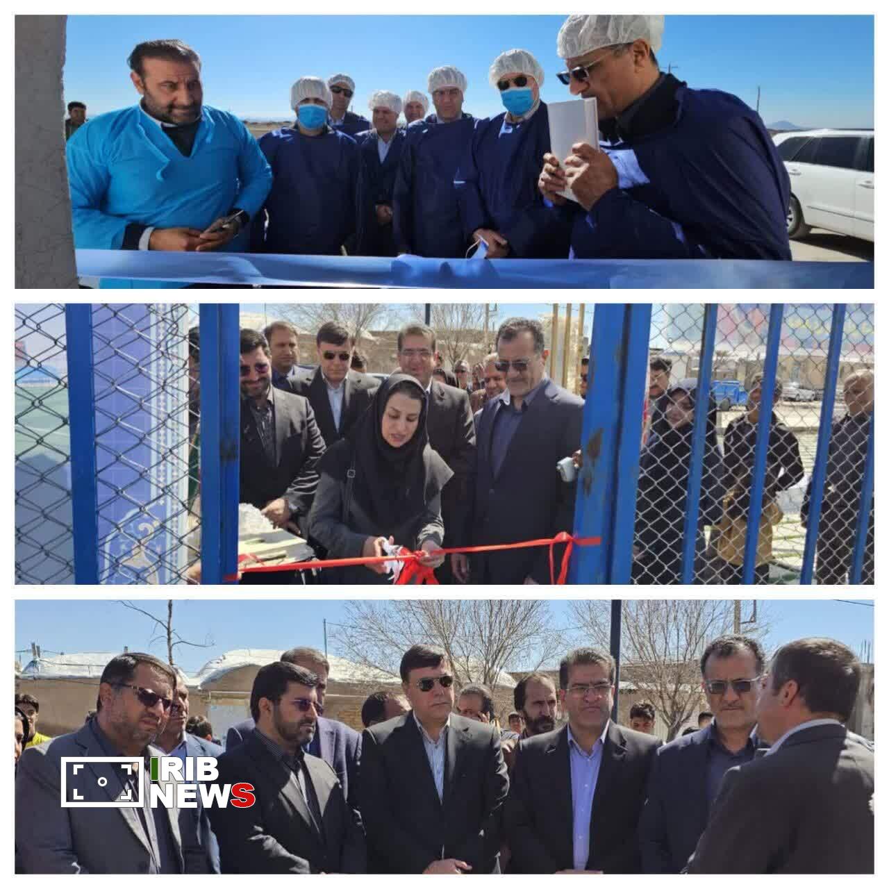 تمرکز دولت ب. حمایت از کسب و کارهای خرد