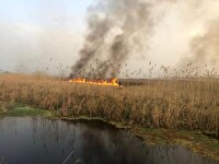 حریق در تالاب انزلی