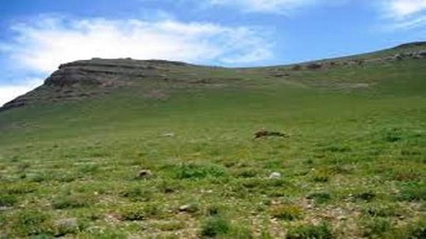 جلوگیری از دست اندازی سودجویان به یکی از بکرترین مراتع گلستان