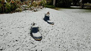 برف در شیراز بر زمین نشست