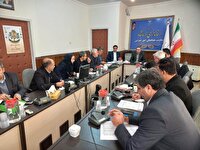 عملکرد بانک‌ها در حوزه پرداخت تسهیلات اشتغال روستایی ارزیابی می شود