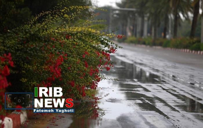 بارش ۱۳ میلی متر باران با فعالیت سامانه بارشی اخیر در کیش بارش ۱۳ میلی متر باران با فعالیت سامانه بارشی اخیر در کیش