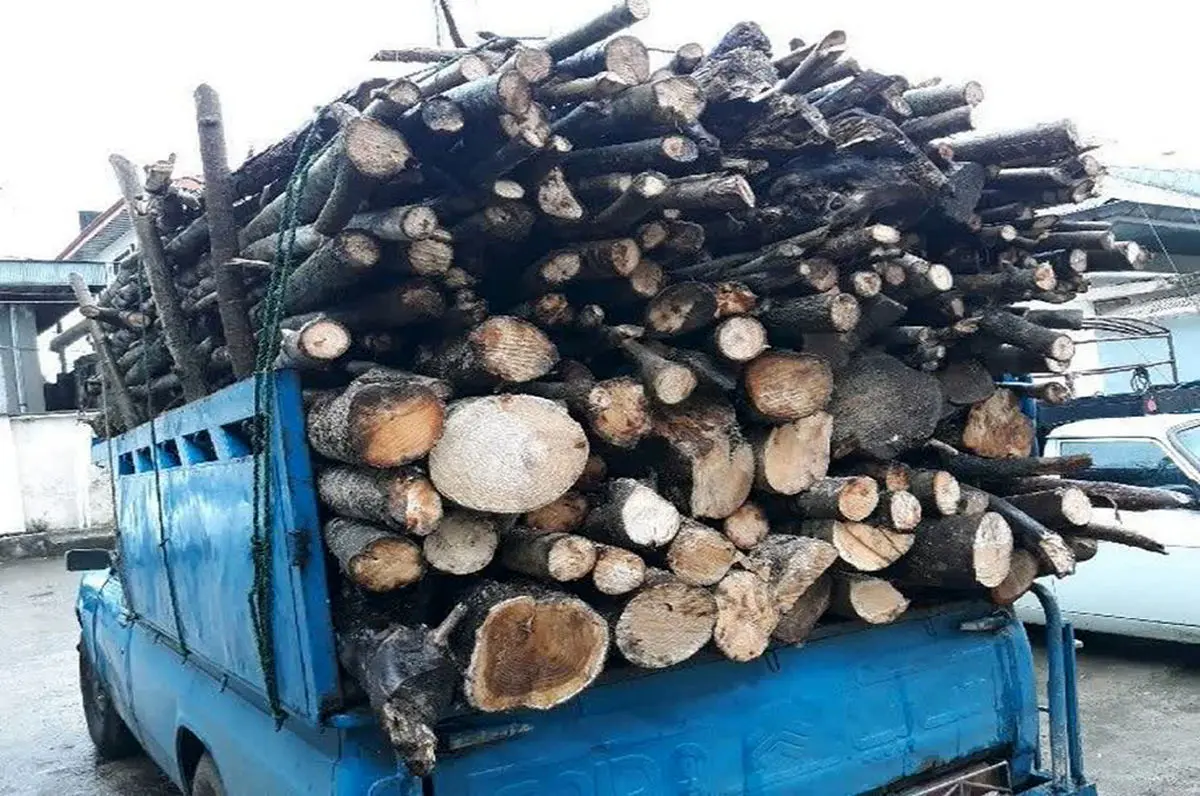 توقیف محموله چوب جنگلی فاقد مجوز در بوانات