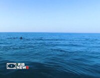 رویداد ایران جان میهمان استان هرمزگان