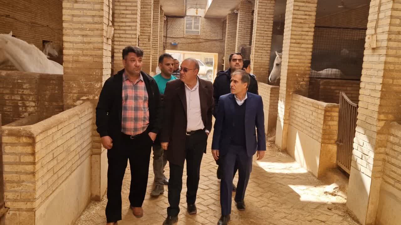 زارچ، یکی از قطب‌های پرورش اسب اصیل عرب در یزد