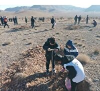 بذر و نهال کاری ۷۰۰ هکتار از اراضی ملی شهرستان نجف آباد