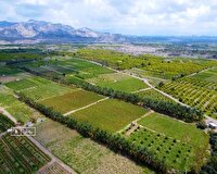 هرمزگان رتبه نخست تولید محصولات خارج از فصل