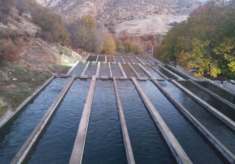 سرمایه گذاری ۱۰ همت در بخش شیلات لرستان