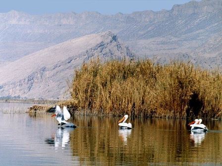 آبگیری تالاب بینالمللی قوپیباباعلی با دبی یک مترمکعب در ثانیه آغاز شد آبگیری تالاب بینالمللی قوپیباباعلی با دبی یک مترمکعب در ثانیه آغاز شد