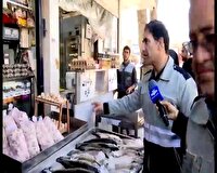 آغاز طرح نظارتی بر فرآورده‌های دامی در خراسان شمالی