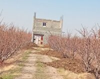 شناسایی ۳۰۰ مورد تخلف ساخت‌وساز غیرمجاز در مهاباد