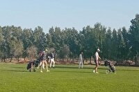 پیروزی میزبانان در دور رفت مرحله نیمه پایانی سوپر لیگ گلف