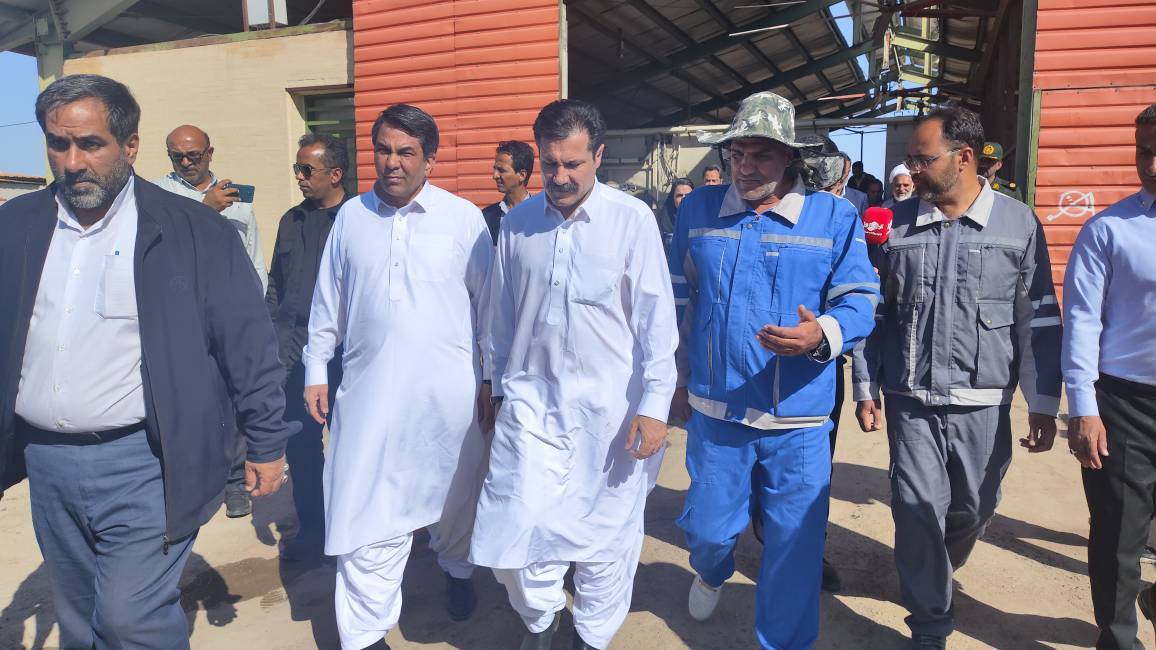 بازدید معاون رئیس‌جمهور از واحد‌های دامداری صنعتی جنوب کرمان