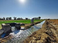 تامین ۵ میلیون متر مکعب آب برای کشاورزان پایین‌دست بالارود اندیمشک