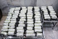 کشف ۶۸ کیلوگرم مواد مخدر در مرز‌های خراسان جنوبی