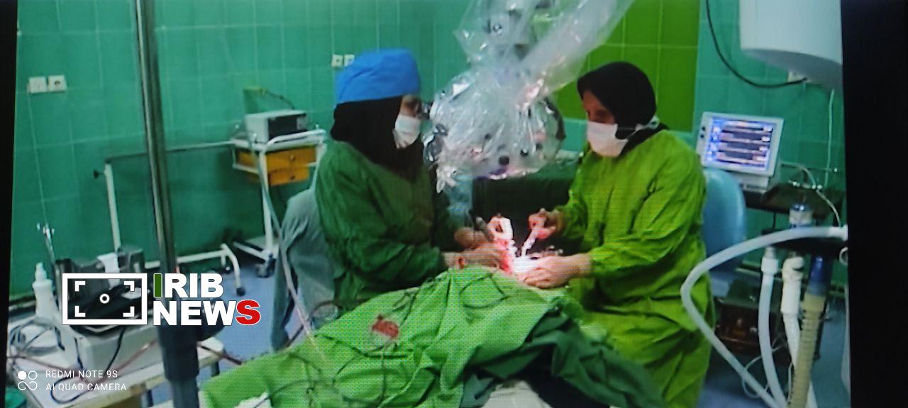 کاشت حلزون ، بازگشت صدا به زندگی کاشت حلزون ، بازگشت صدا به زندگی