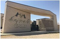 کارخانه رضایت خودرو به شکات دارای رأی قطعی واگذار می‌شود