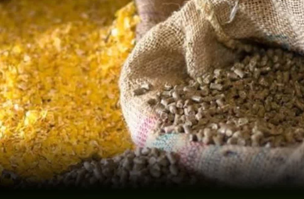 کشف دو تن خوراک دام بدون مجاز در الیگودرز