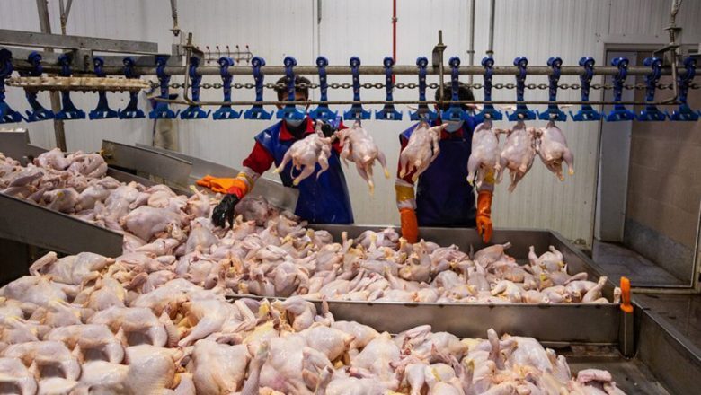 صدور حکم جزای نقدی تعلیقی برای کشتار و عرضه غیرمجاز طیور زنده در رامهرمز صدور حکم جزای نقدی تعلیقی برای کشتار و عرضه غیرمجاز طیور زنده در رامهرمز