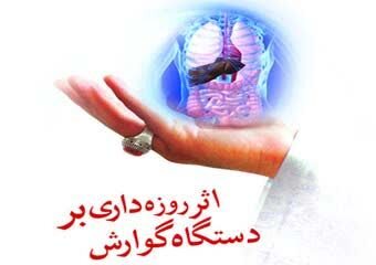 روزه‌داری؛ فرصتی برای بازسازی گوارش و پیشگیری از بیماری‌ها