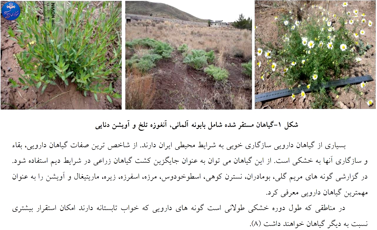 معرفی گونه‌های دارویی مقاوم به کم آبی