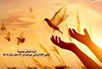 آزادی ۲۸۷ زندانی غیرعمد در ۱۱ ماهه سال جاری