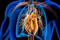 عفونت‌های درمان‌نشده در کودکی، تهدیدی برای قلب در میانسالی