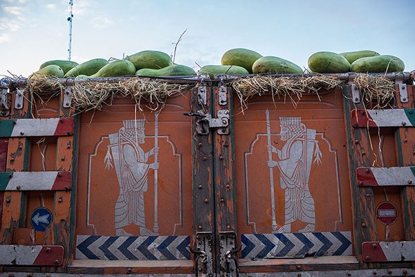 تولید و صادرات سبزی و صیفی و رشدی که شیرین نیست تولید و صادرات سبزی و صیفی و رشدی که شیرین نیست