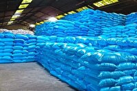 افزايش ۱۲ درصدی تأمین کود و سم یارانه ای