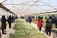 آیین بهره‌برداری از گلخانه سلولزی شهرداری کرمان