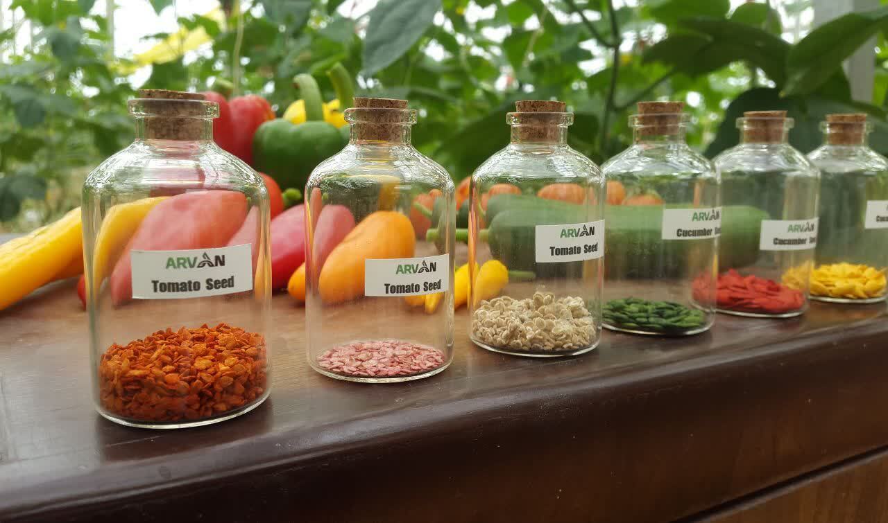 تولید دانش‌بنیان بذور هیبرید برای تکمیل زنجیره تولیدات گلخانه‌ای در یزد