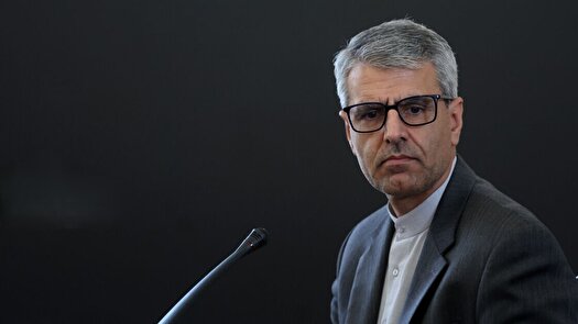 بقائی: آمریکا و اسرائیل دنباله‌رو روش تبلیغاتی گوبلز هستند