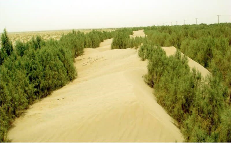 پوشش گیاهی سپری در برابر گرد و غبار