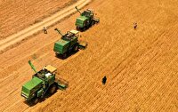 کاهش ضایعات غلات با نوسازی کمباین‌ها