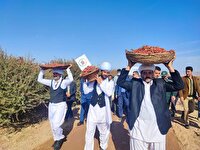 افزایش ۵۸ درصدی رویداد‌های گردشگری در خراسان جنوبی