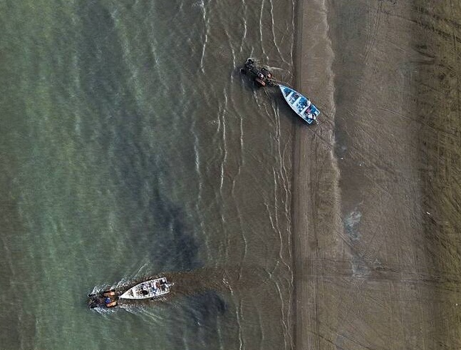 علاقه ماهیان استخوانی به ساحل شرقی خزر