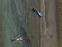 علاقه ماهیان استخوانی به ساحل شرقی خزر