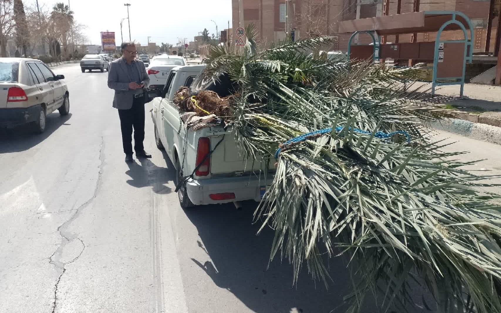 برخورد قاطع با عرضه نهال غیرمجاز در مهریز برخورد قاطع با عرضه نهال غیرمجاز در مهریز