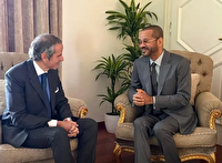 دیدار البوسعیدی با گروسی در ژنو