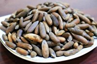 افزایش ۲۵ درصدی صادرات جلغوز افغانستان