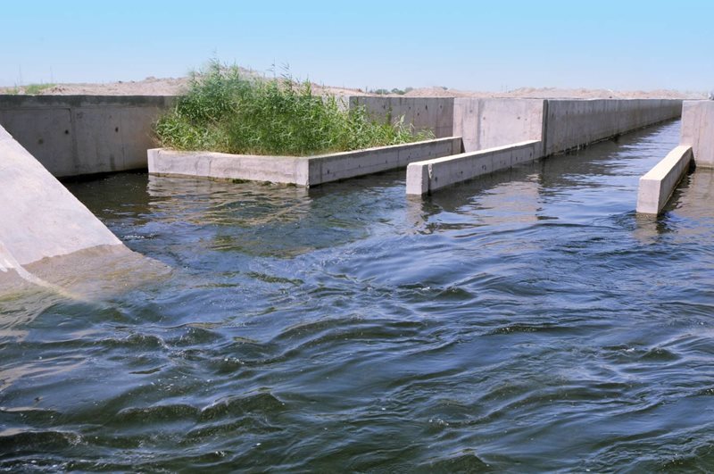 پساب جایگزین مصارف متعارف در آبیاری فضای سبز تهران