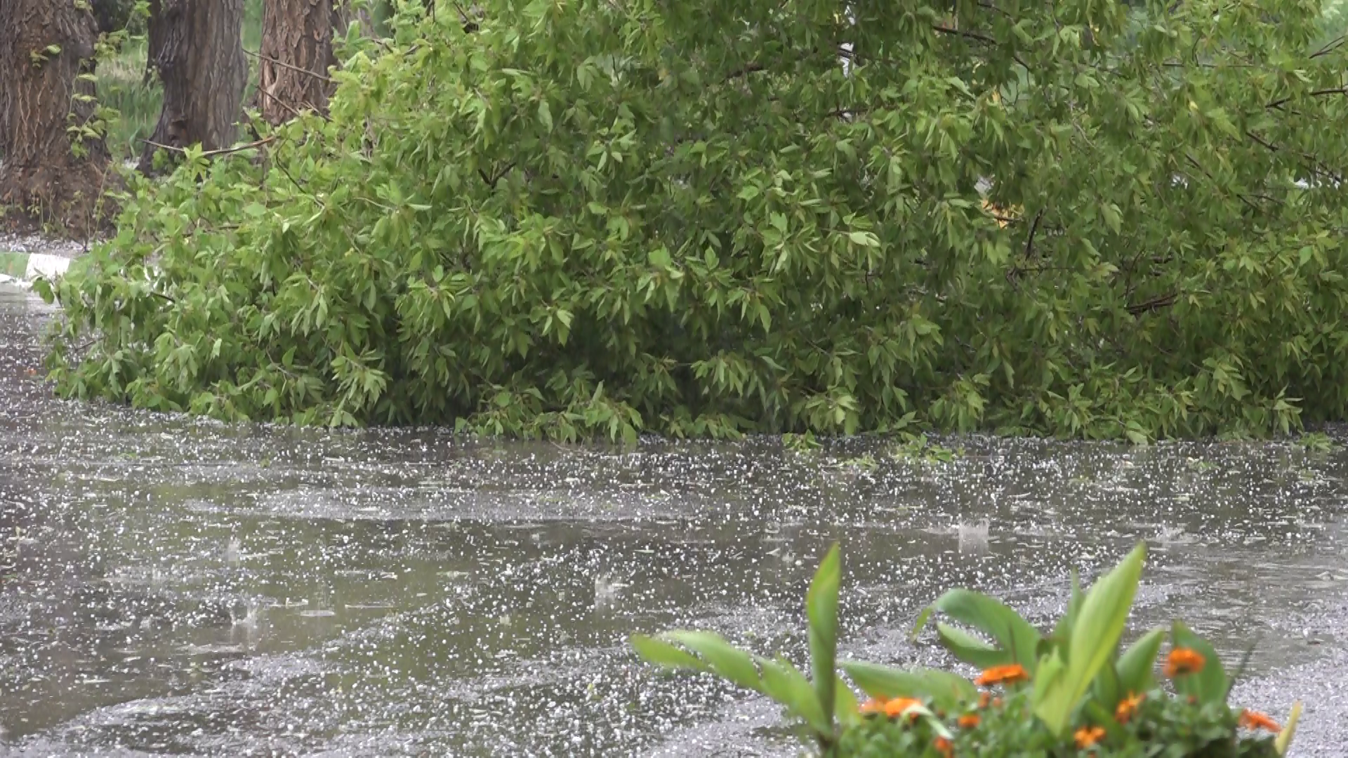 صحنه هایی زیبا از بارش شدید باران و تگرگ در همدان