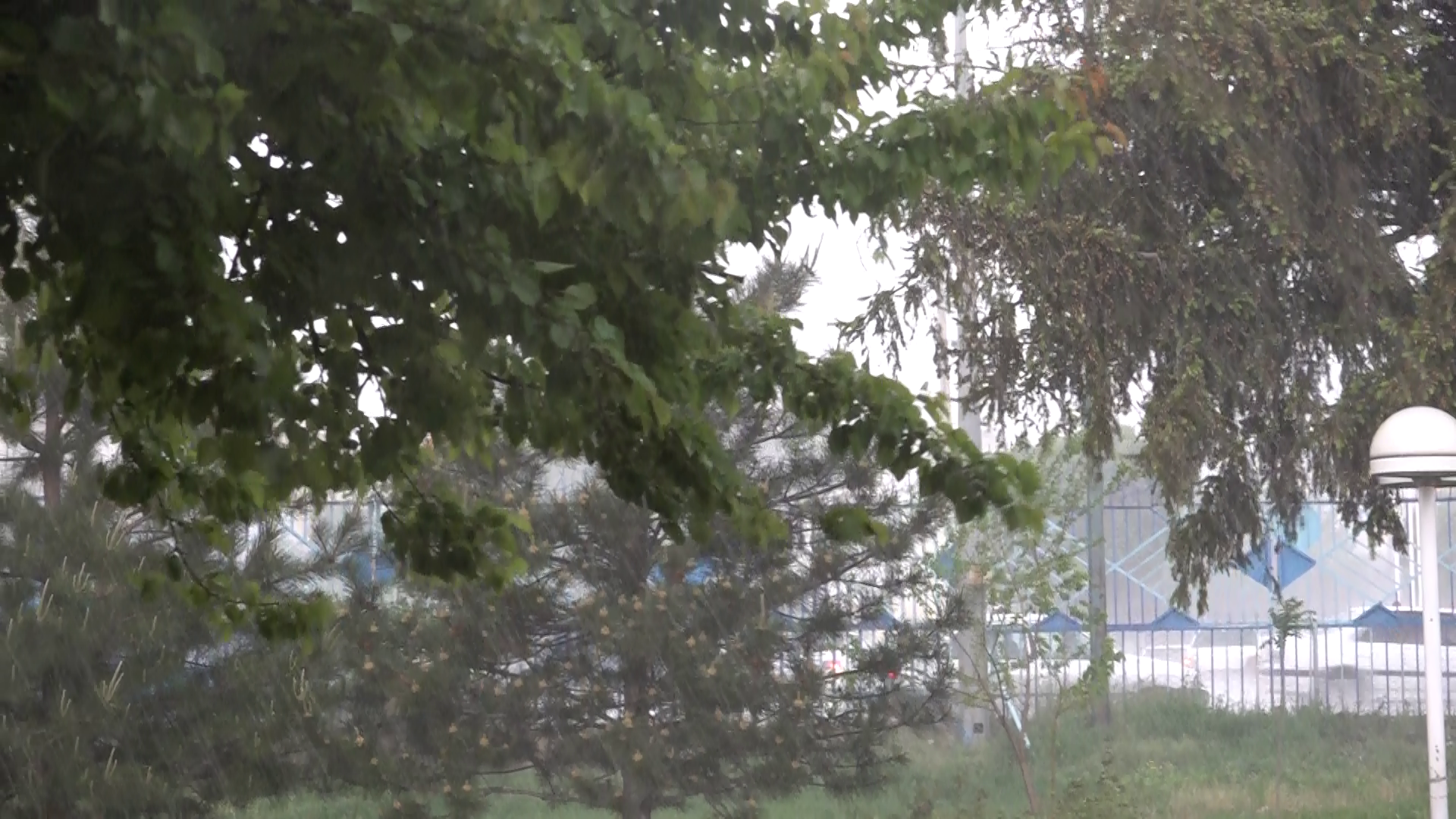 صحنه هایی زیبا از بارش شدید باران و تگرگ در همدان