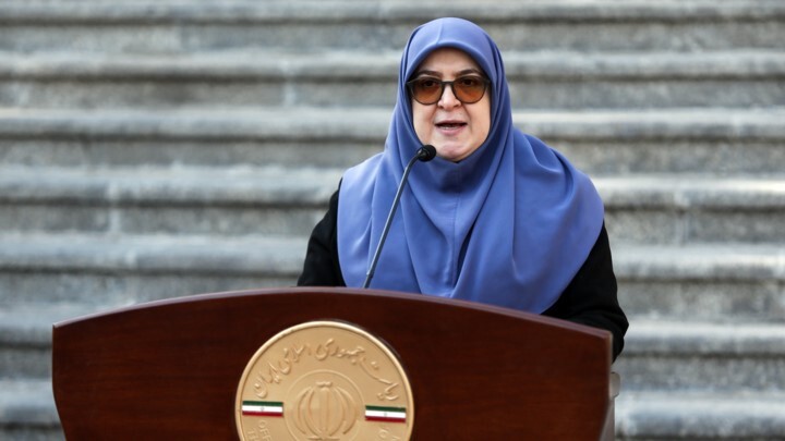 مهاجرانی: دولت در موعد مقرر گزینه وزارت اقتصاد را معرفی می‌کند
