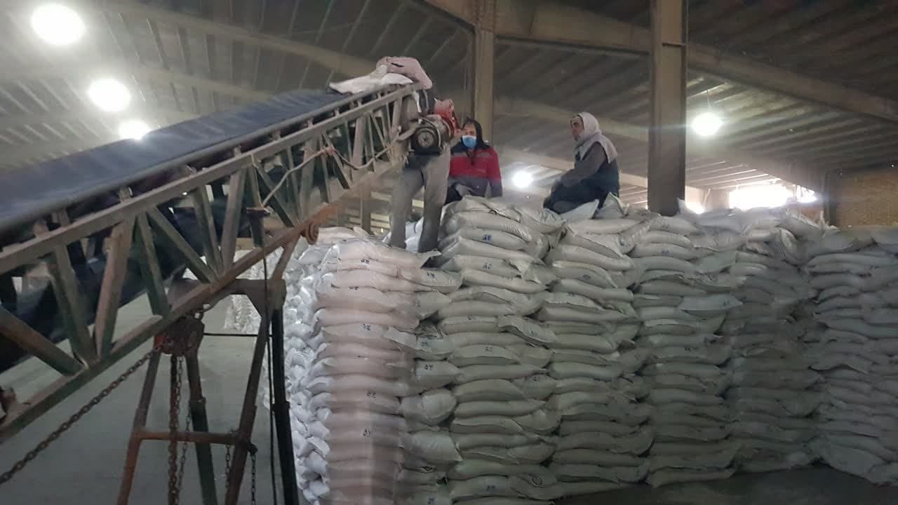 توزیع بیش از ۷۰۰ تن انواع کود یارانهای کشاورزی در سردشت توزیع بیش از ۷۰۰ تن انواع کود یارانهای کشاورزی در سردشت