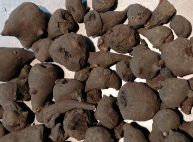 توزیع زهر هلاهل به جای جدوار سیاه 